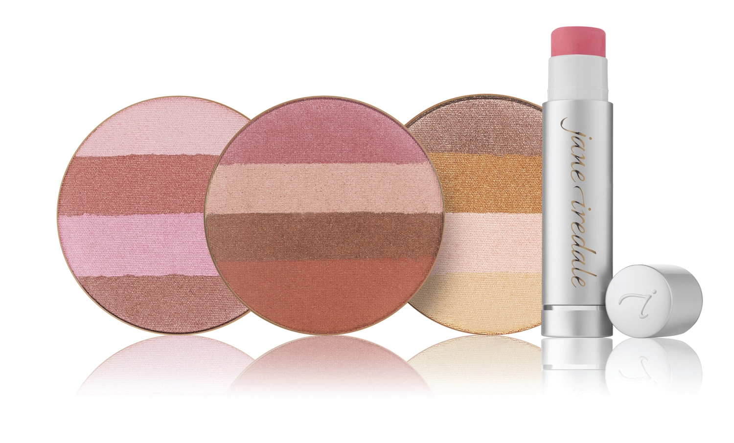 Bewohner der Aloe-Vera-Pflanze.